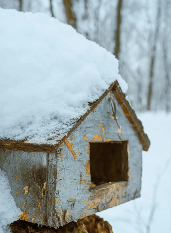 a bird house is covered in some snow