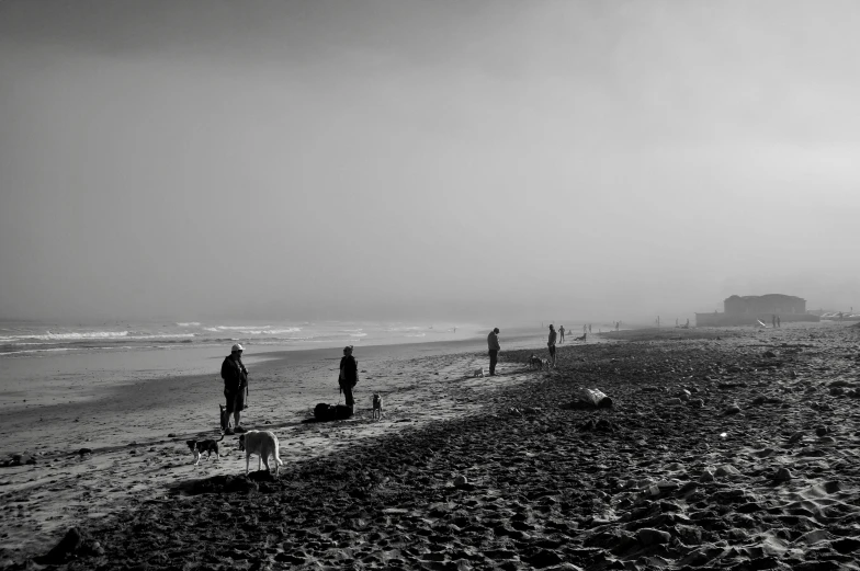 four people walking along the shoreline of the beach