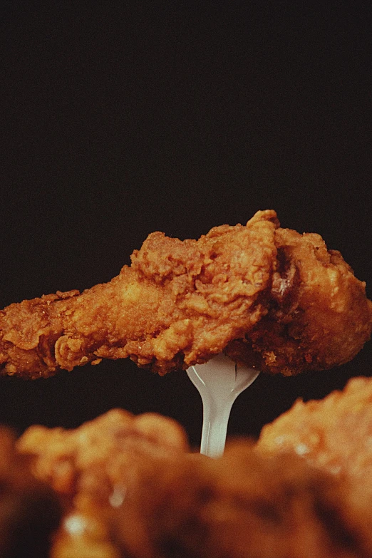 some fried food on top of a white plate