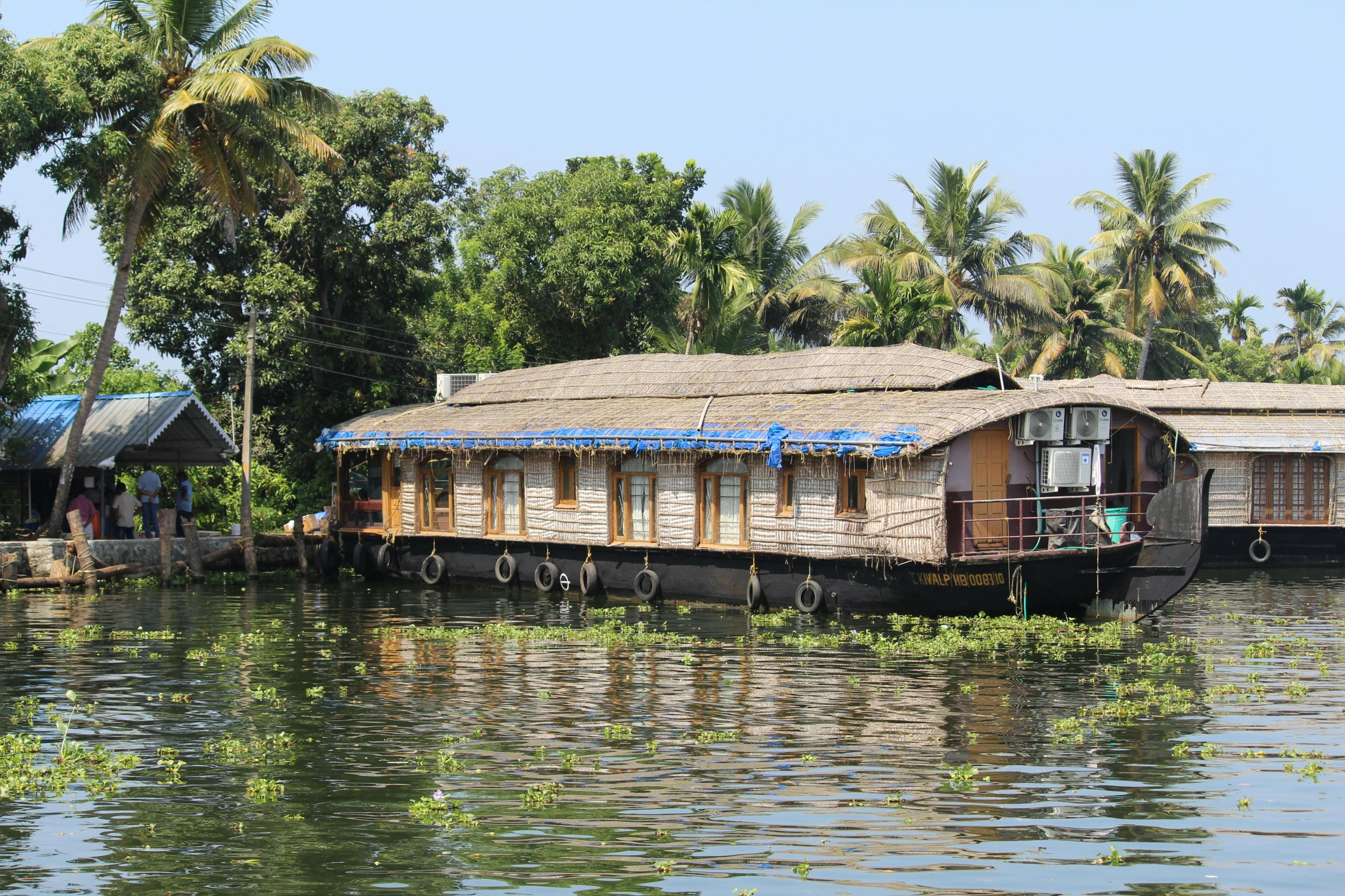 two houses and one boat on a river with coconut trees