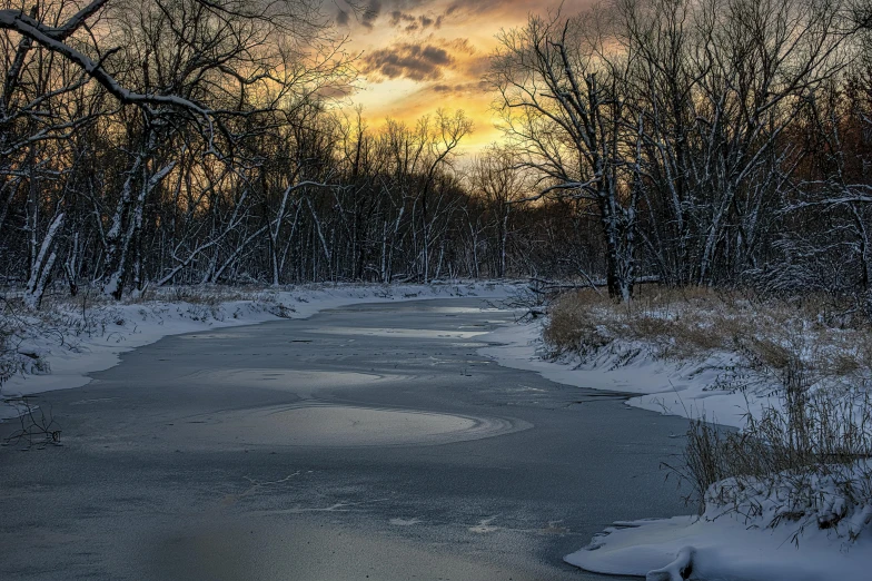 a snowy trail has trees and water in it