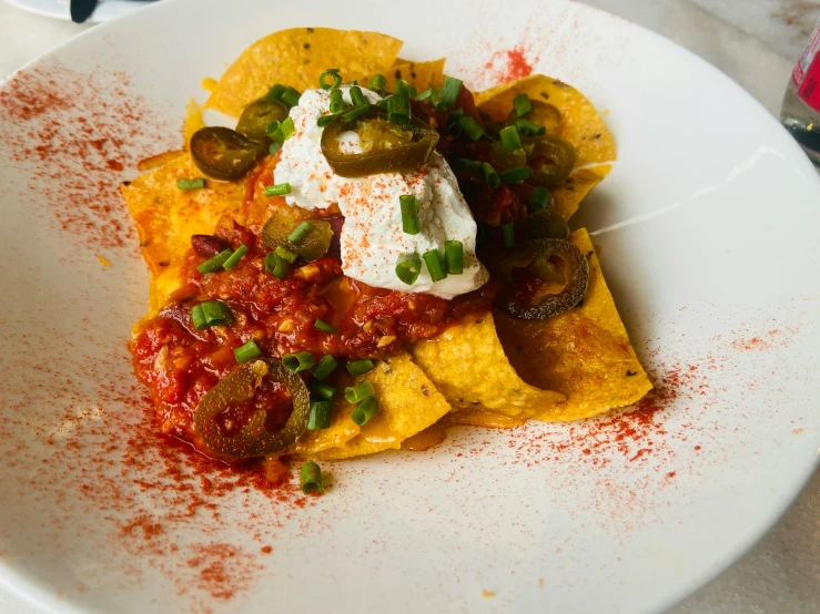 a plate full of food including nachos and salsa