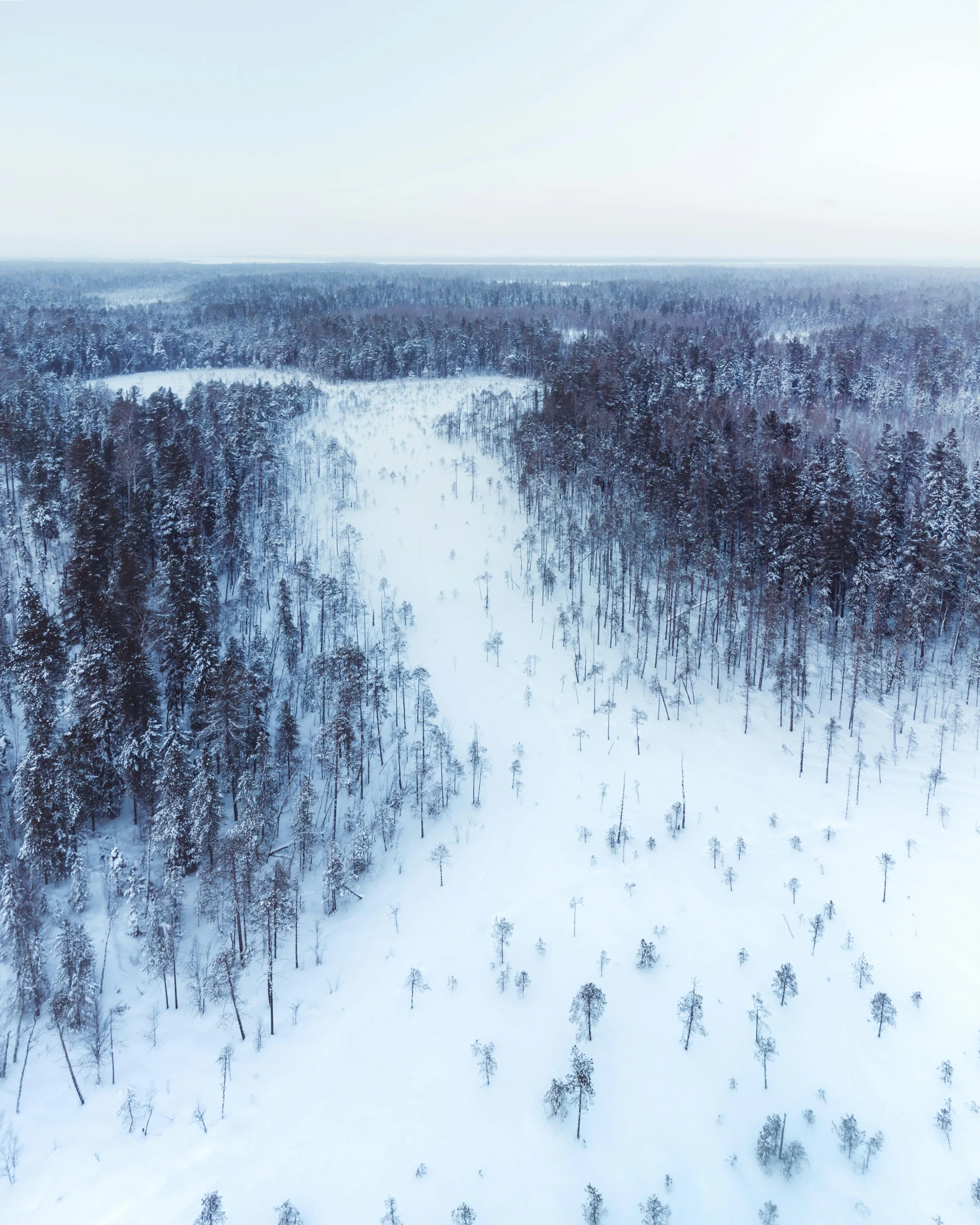 the top of a snowy landscape shows trees, shrubs and a small river