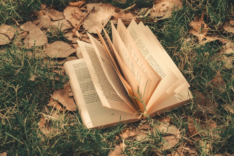 two open books laying on the ground