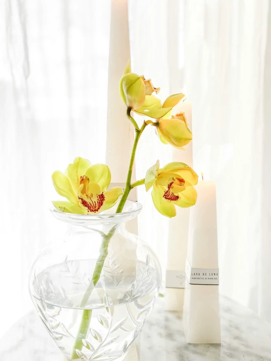 yellow flowers in vases sitting on marble table