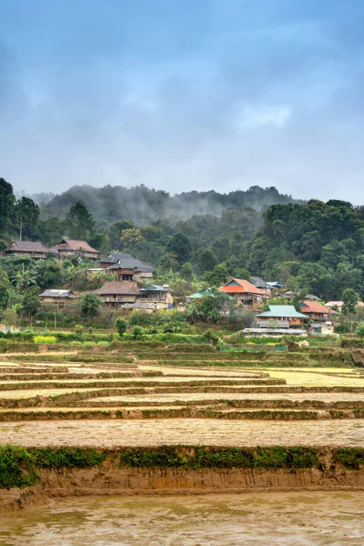 an area with rows of terraces and hills