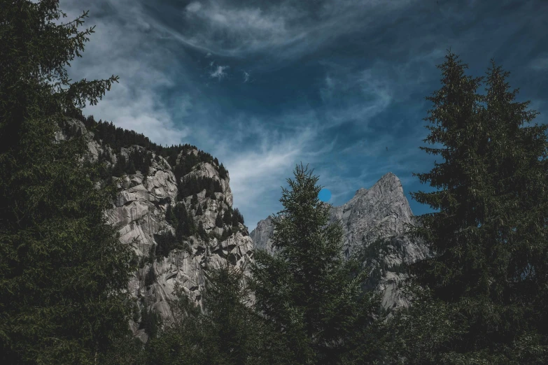 a mountain covered in lots of tall trees