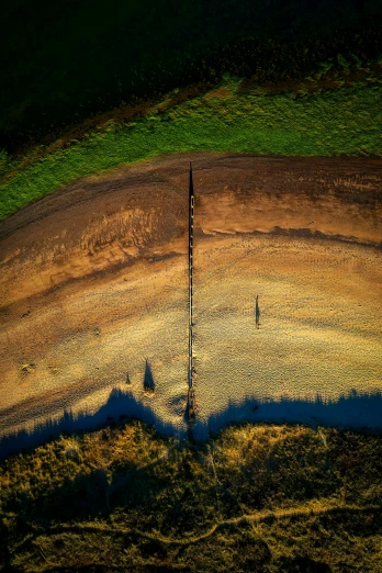 a lonely tree sits in the middle of a dirt field