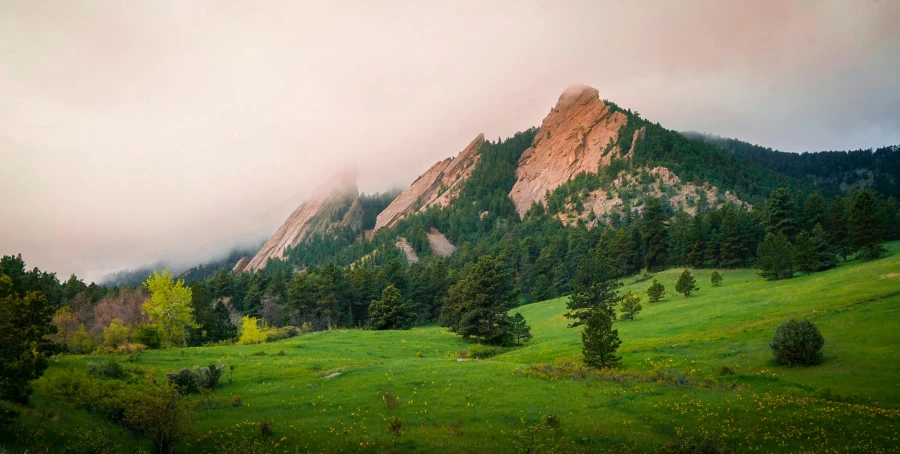 the view from a valley overlooks several mountains, with trees, flowers, and small plants