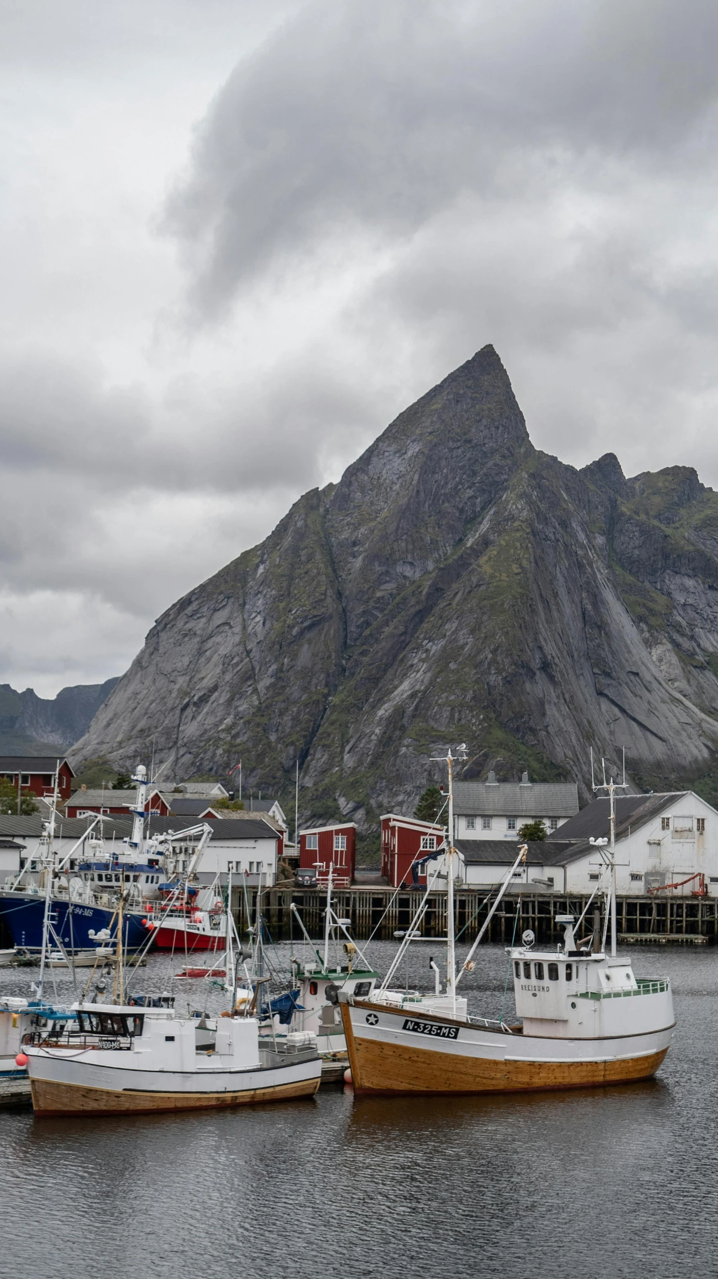 boats are parked in the water near the mountains