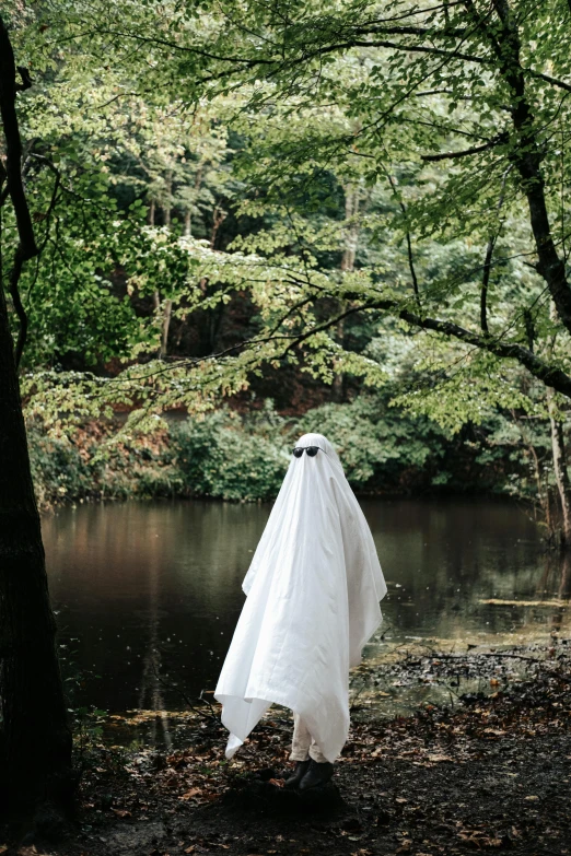 a dress hanging in a forest, near water