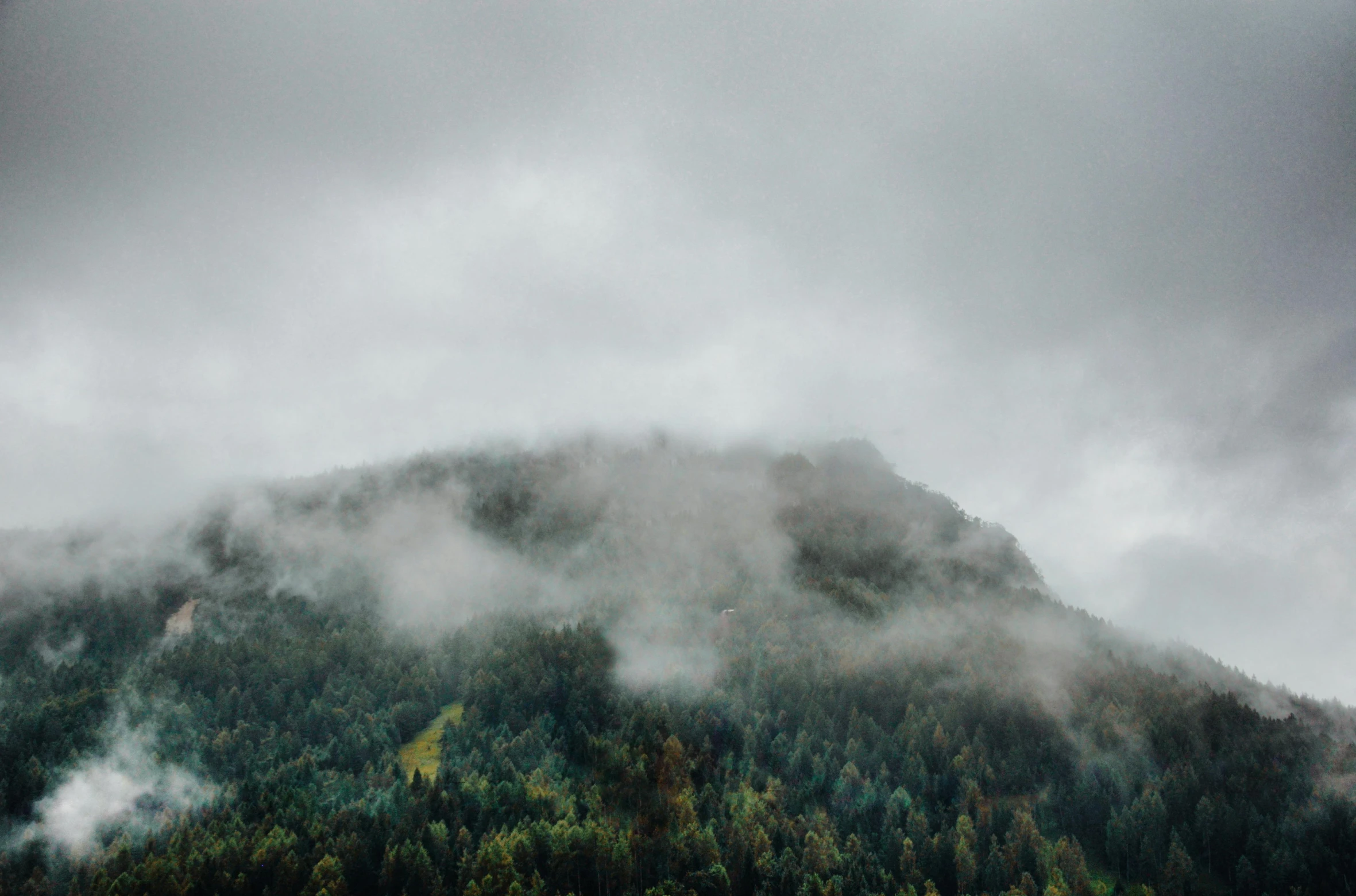 some green trees and a very cloudy sky