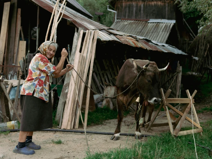 a woman is standing near a cow and wooden structures