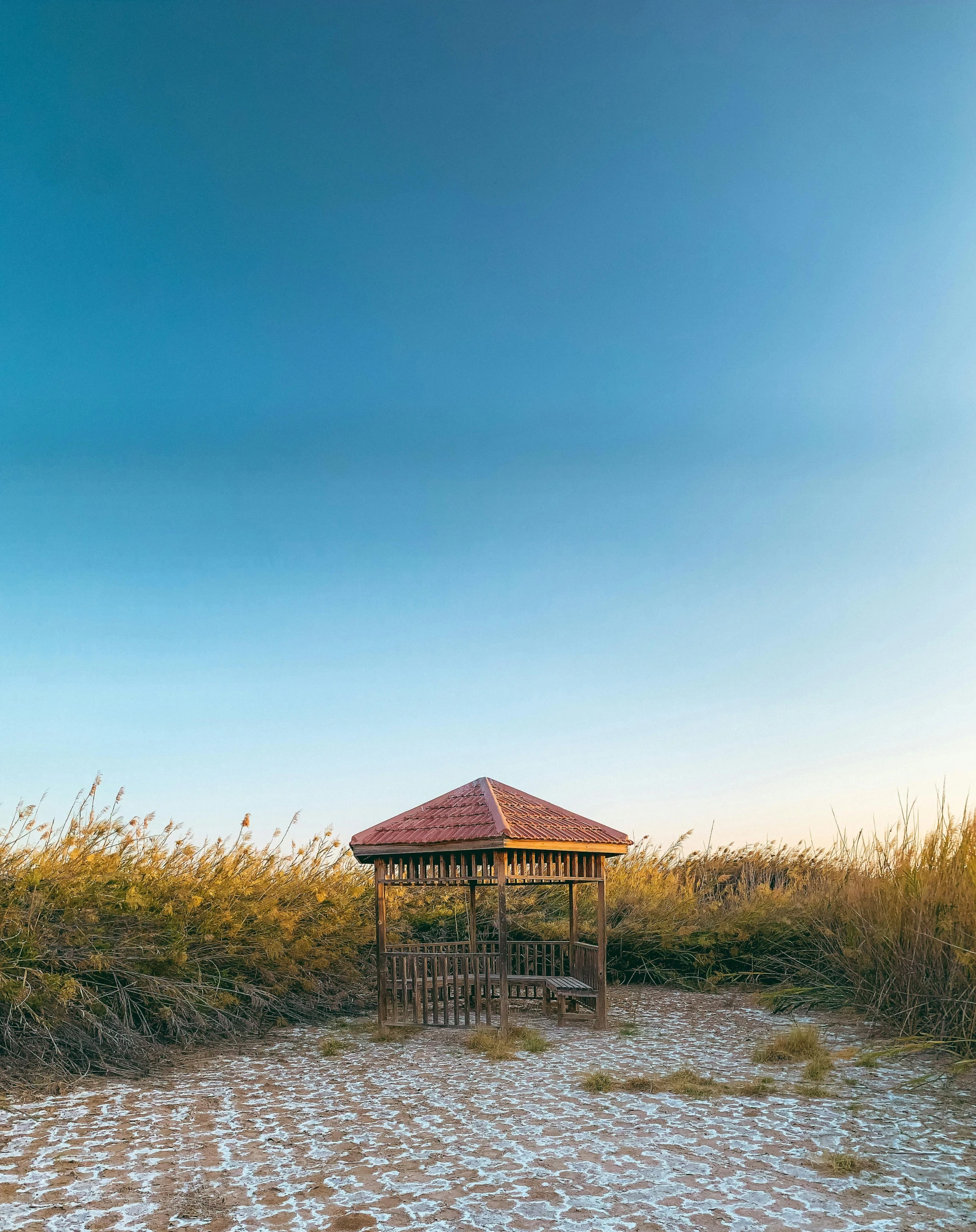 an empty small wooden hut sits on the shore of a beach