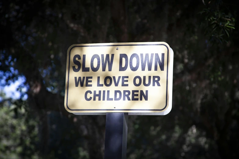 a sign that says slow down we love our children on it