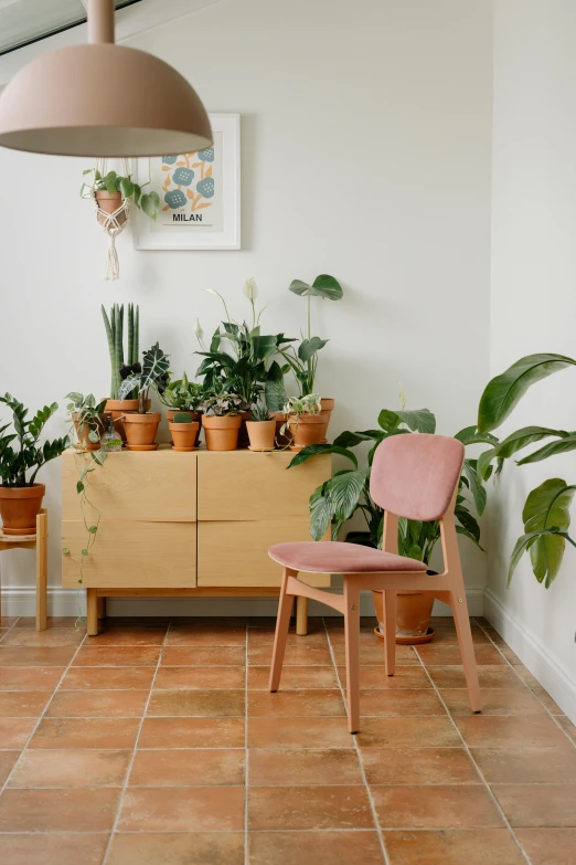 many different plants are being displayed on the shelf