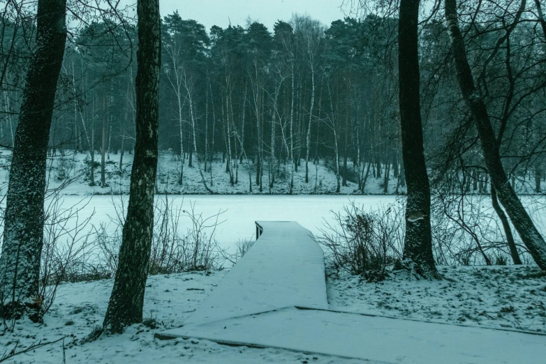 a path in the woods that is covered with snow