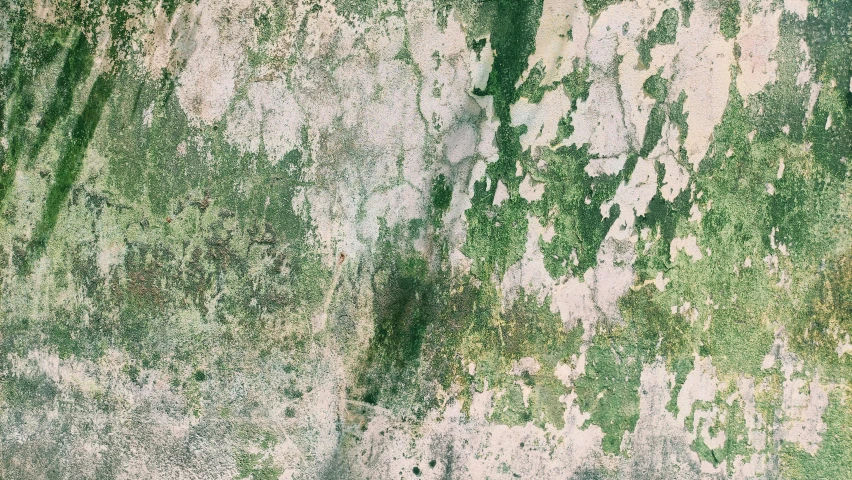 an old wall that has been covered with grass and dirt