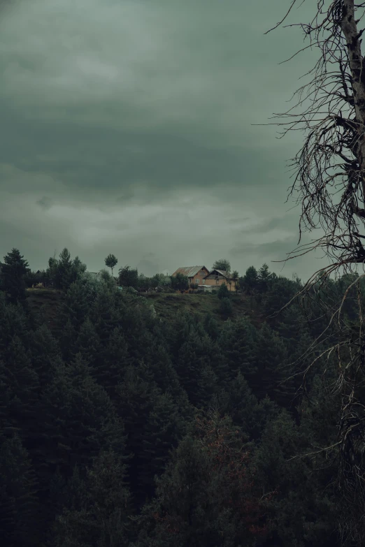 a black - and - white po of a house on a hill