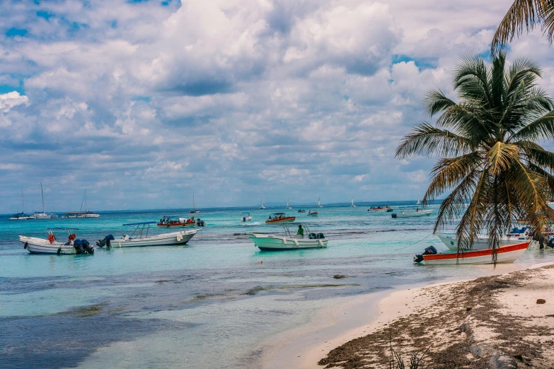 people standing on a sandy beach under a palm tree