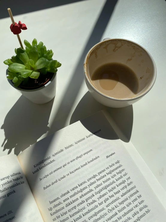 the book is open with a plant in it