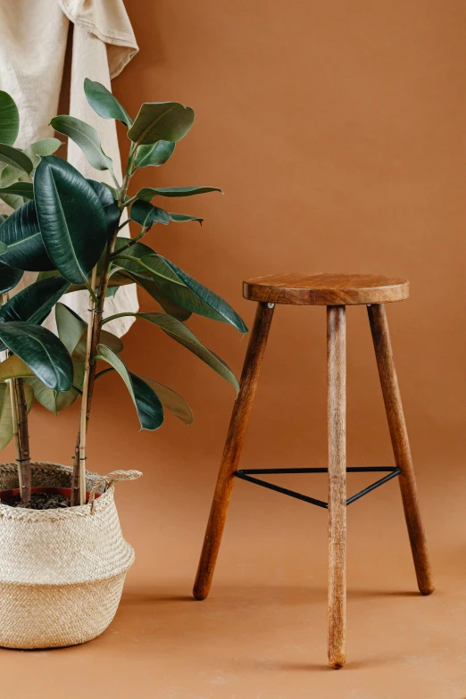 a plant in a pot next to a stool on a tan floor