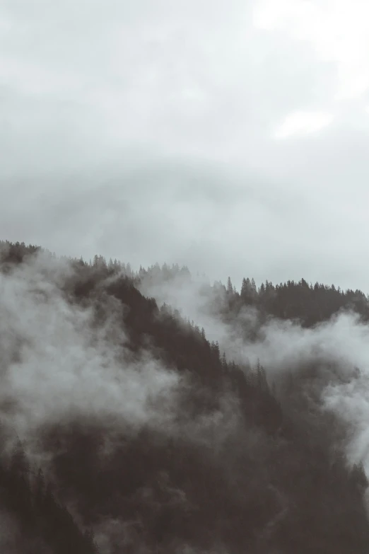 black and white pograph of trees on mountain peak in clouds