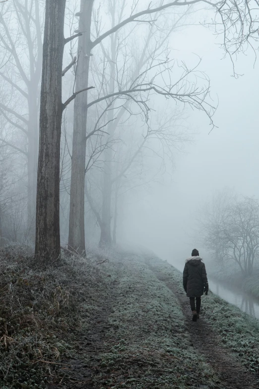 a person walking down the road in the fog