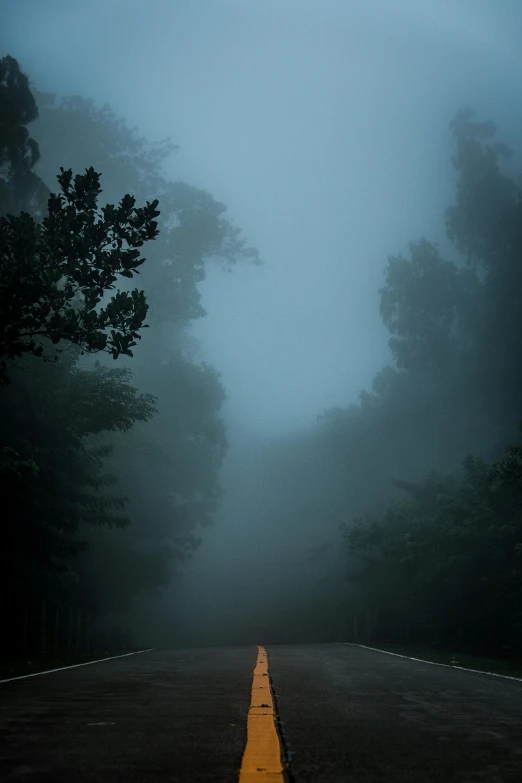 fog is covering the trees and street near a road