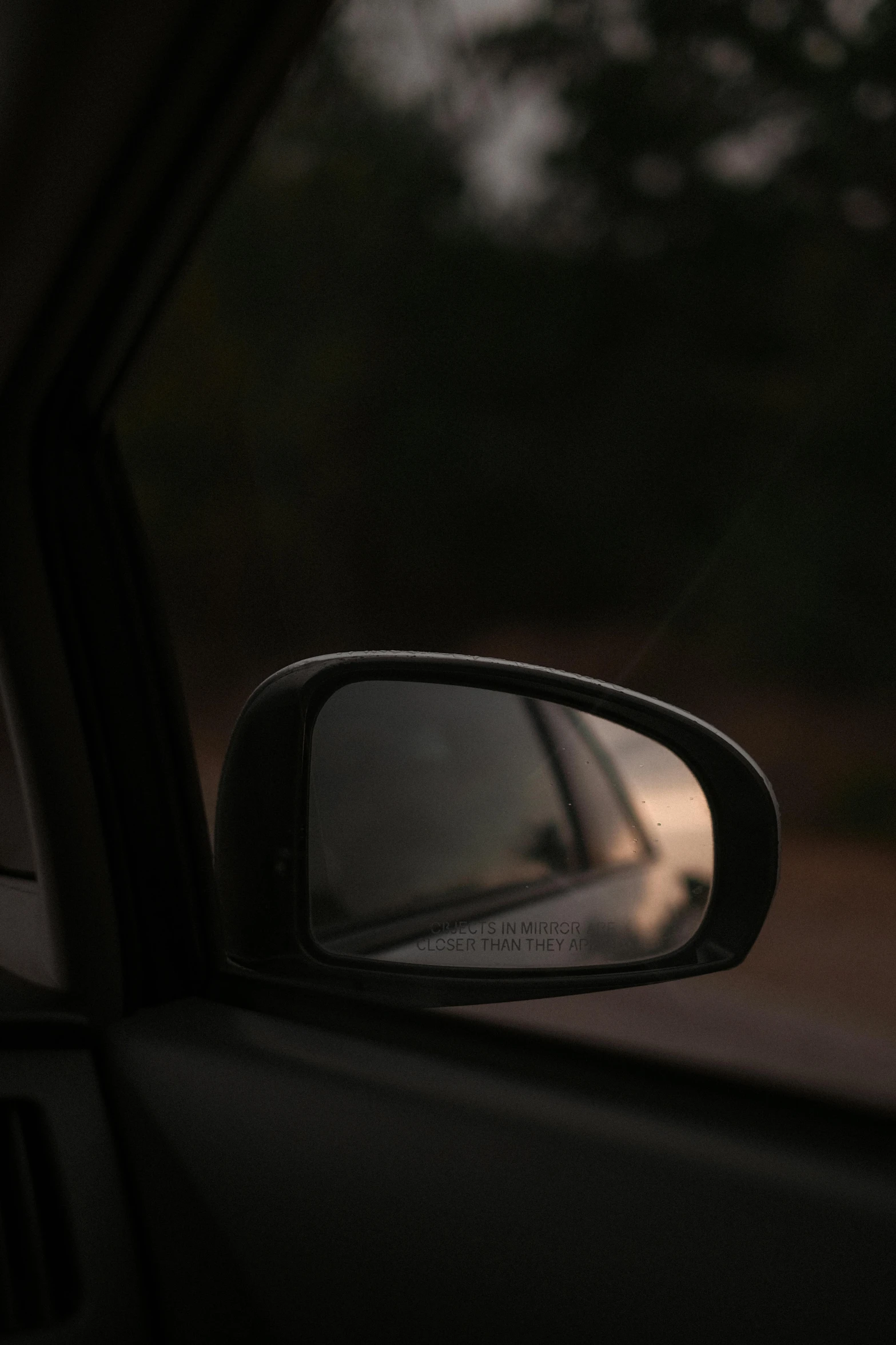 the rear view mirror of a car shows the tree outside the window
