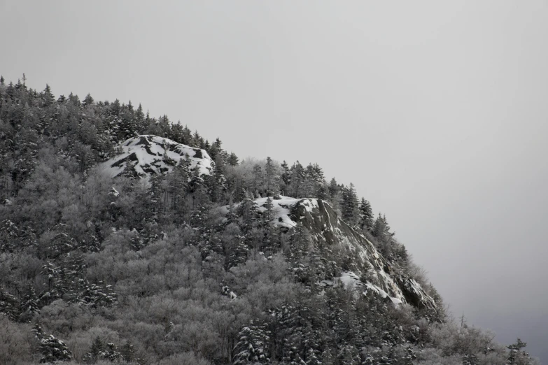 an overcast day with the tree's covered in snow