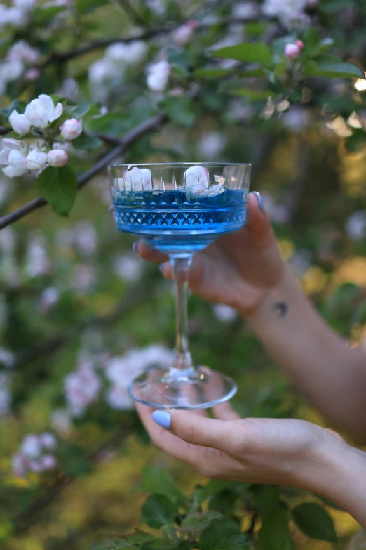 the person is holding a glass that has toothbrushes in it