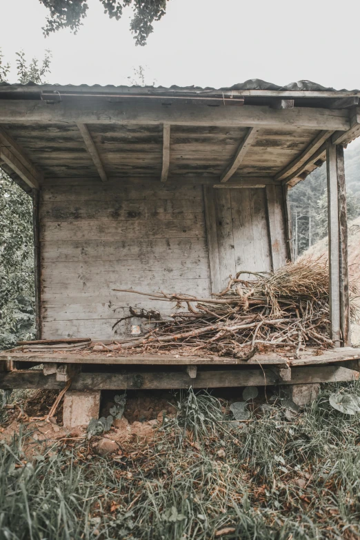 there is an old dilapidated outhouse with vines on it