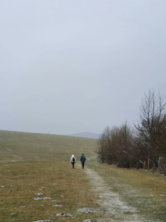 a group of people walking on a grassy path