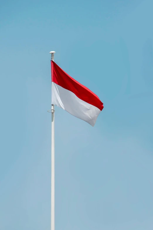 flag on pole in front of light blue sky