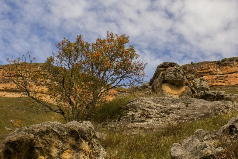 the rocks have grass in front of them