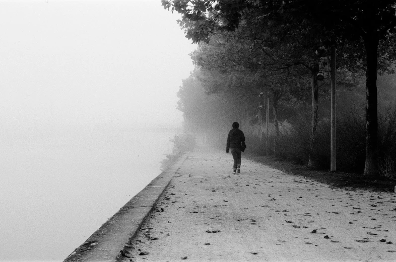 silhouette of a person standing alone in the fog