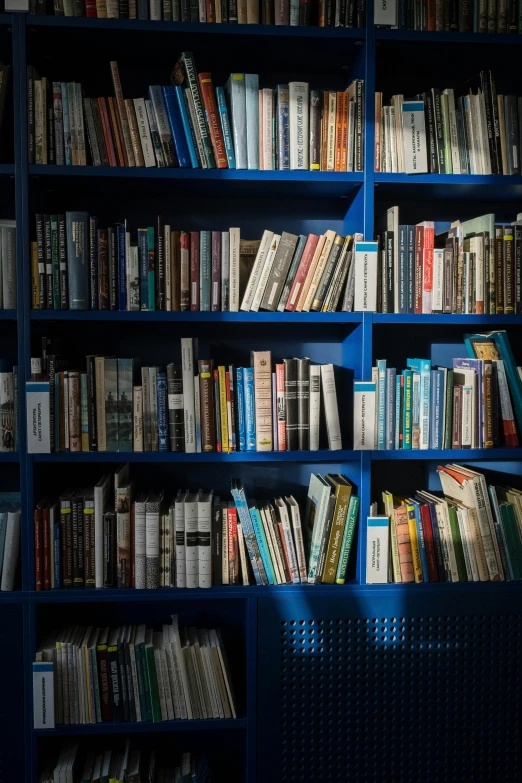 a bunch of books on some blue shelves