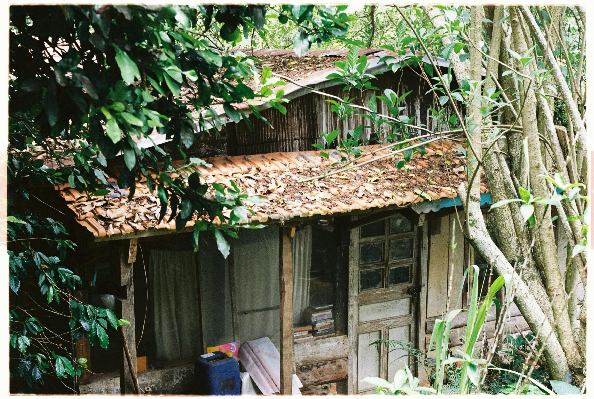 a little house with a roof covered in leaves