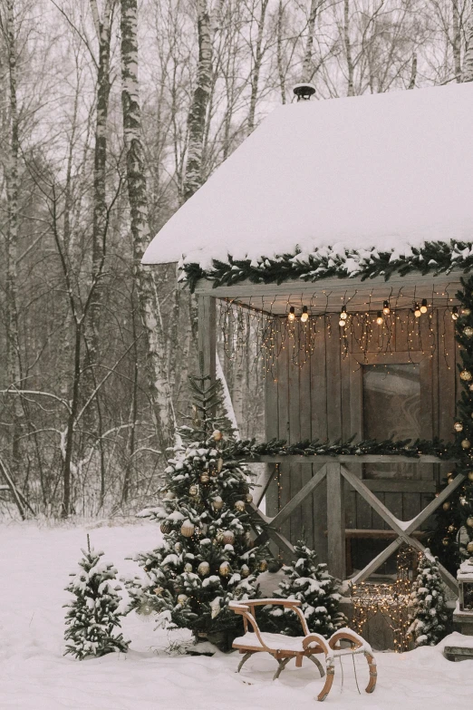 christmas lights decorate an old farm building on a snowy day
