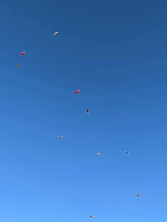 many kites are in the sky high up in the air