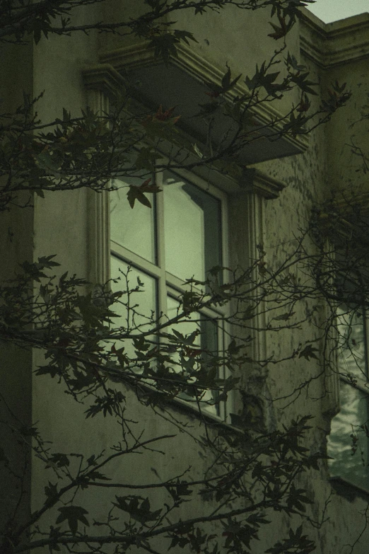 a window with vines and leaves is in the windowsill