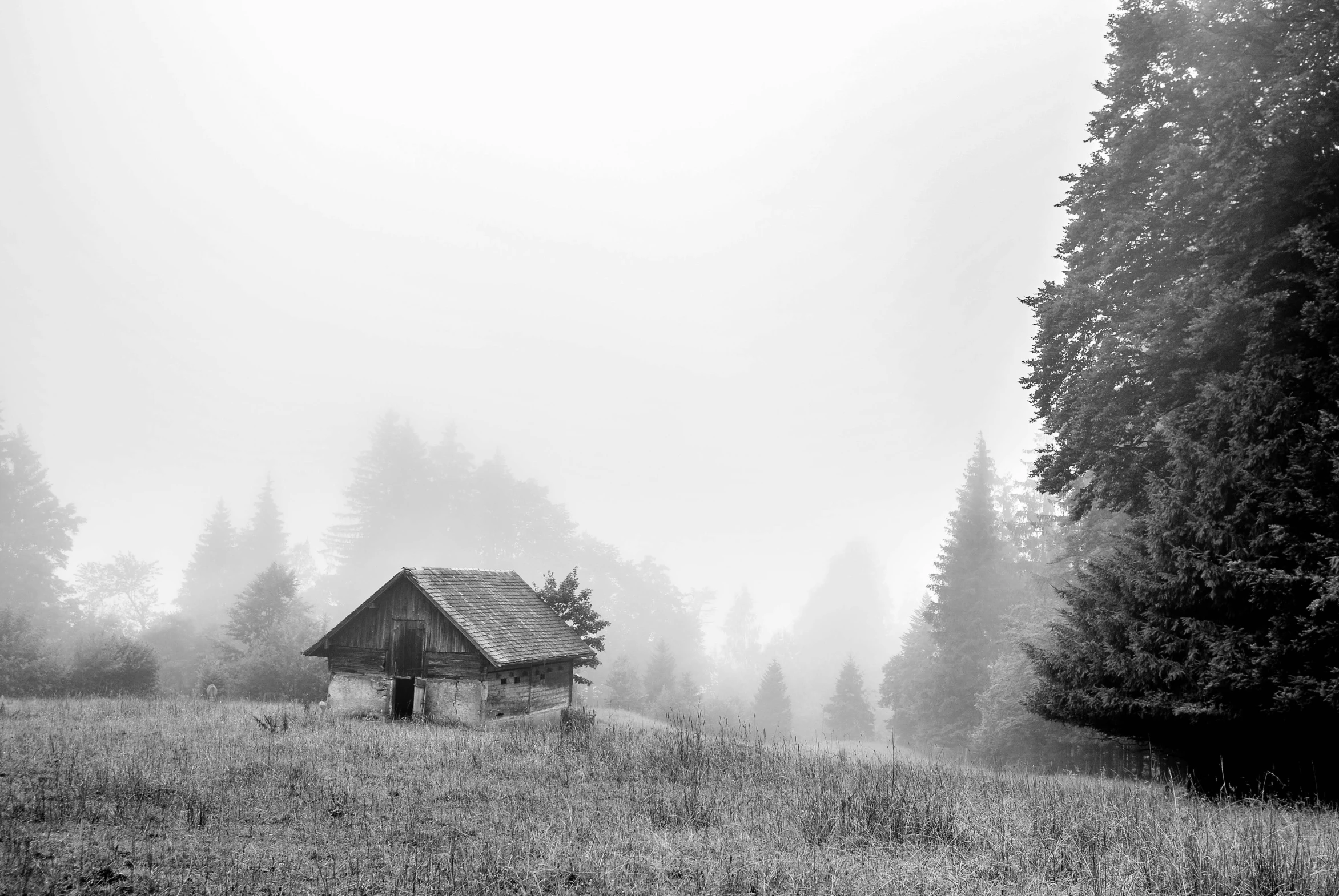 a cabin sits in the fog on a mountain