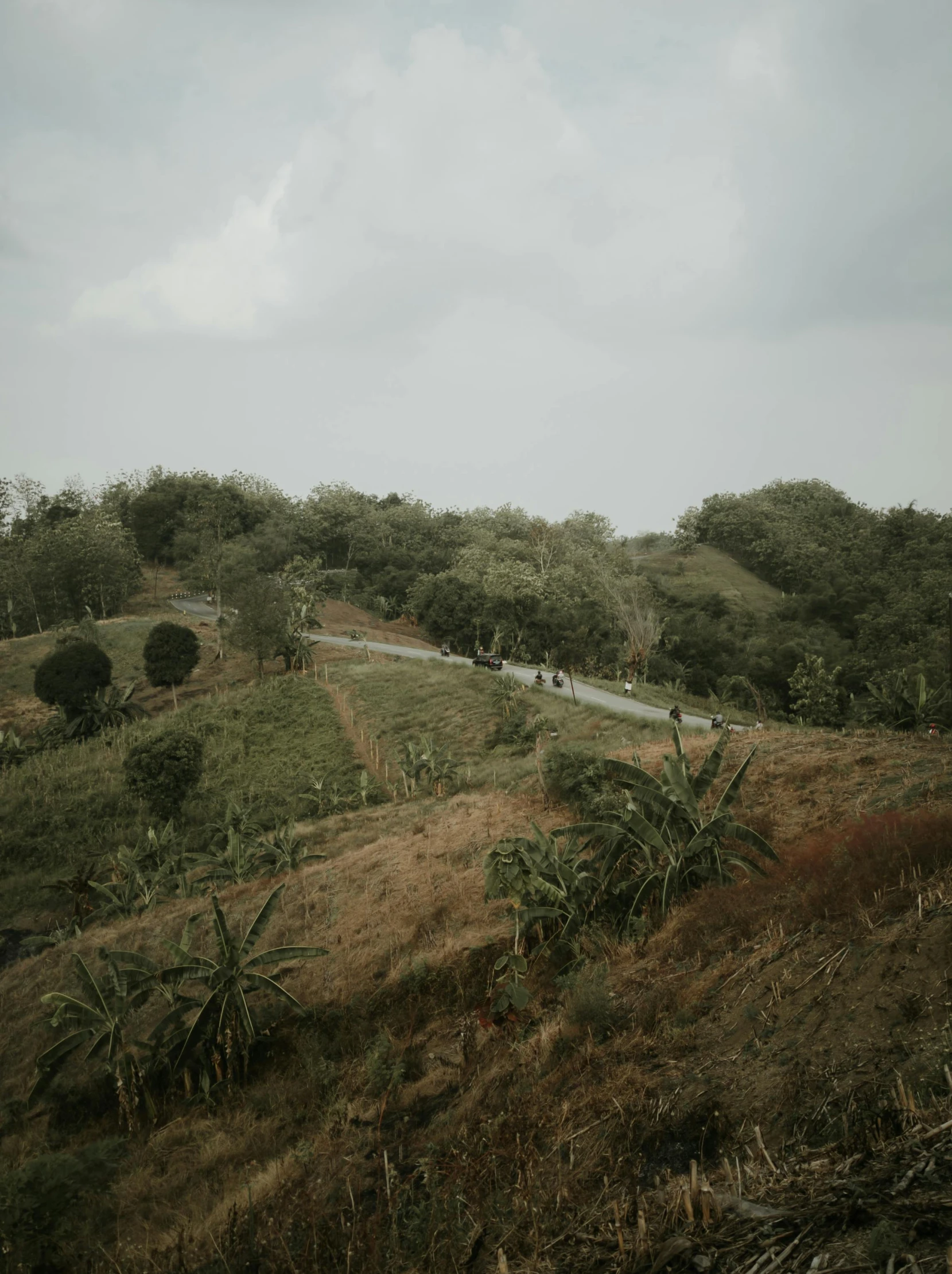 a person riding down a path on a hillside