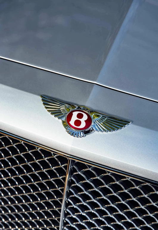 a badge on the front of a car with wings