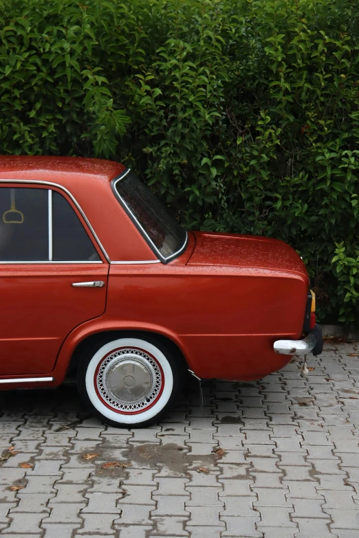 a car sits in front of some bushes