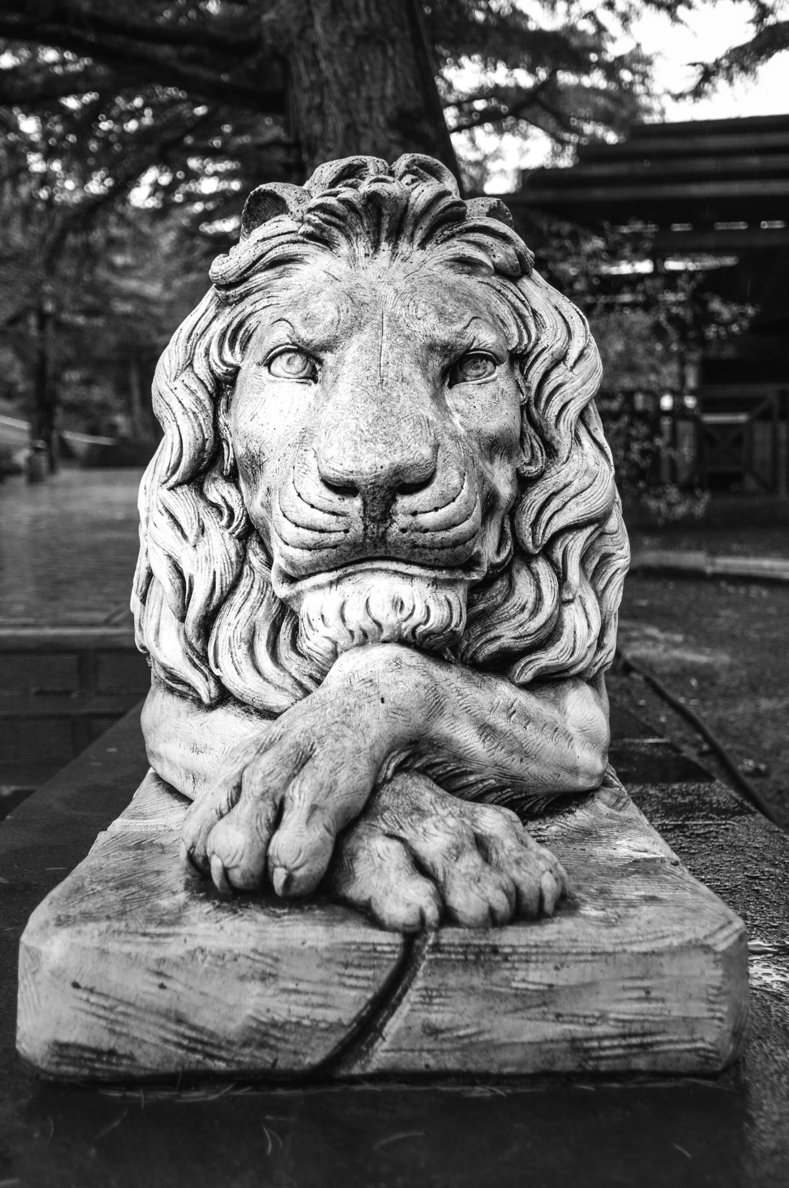 the lion statue is sitting outside of the building