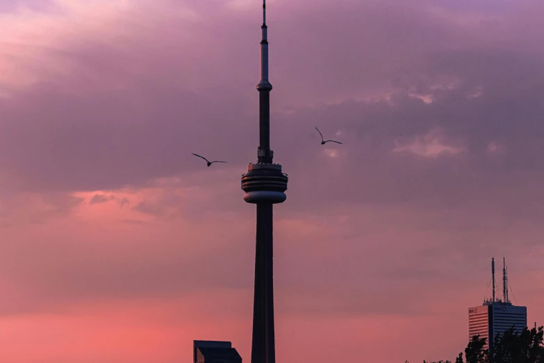 a tower is shown in the distance with birds flying overhead