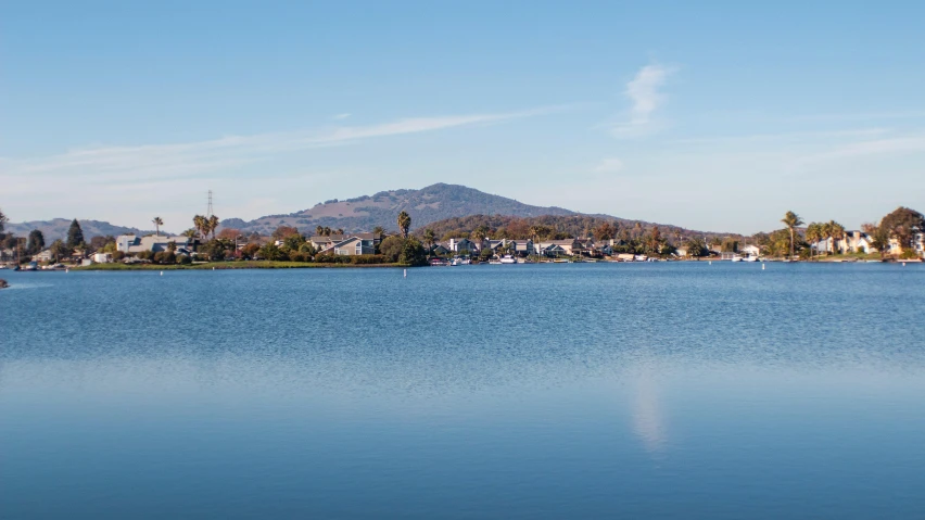 a view of a body of water with trees and houses on the other side