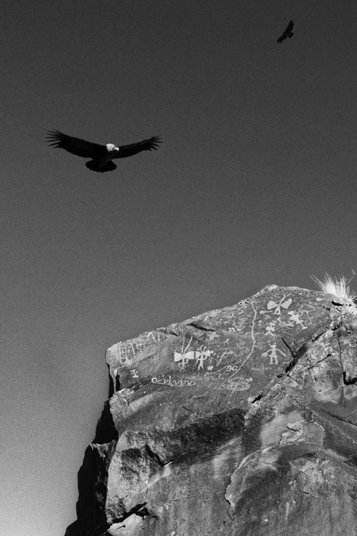 birds fly near a large rock formation with graffiti on it